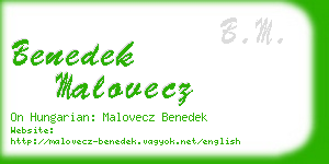 benedek malovecz business card